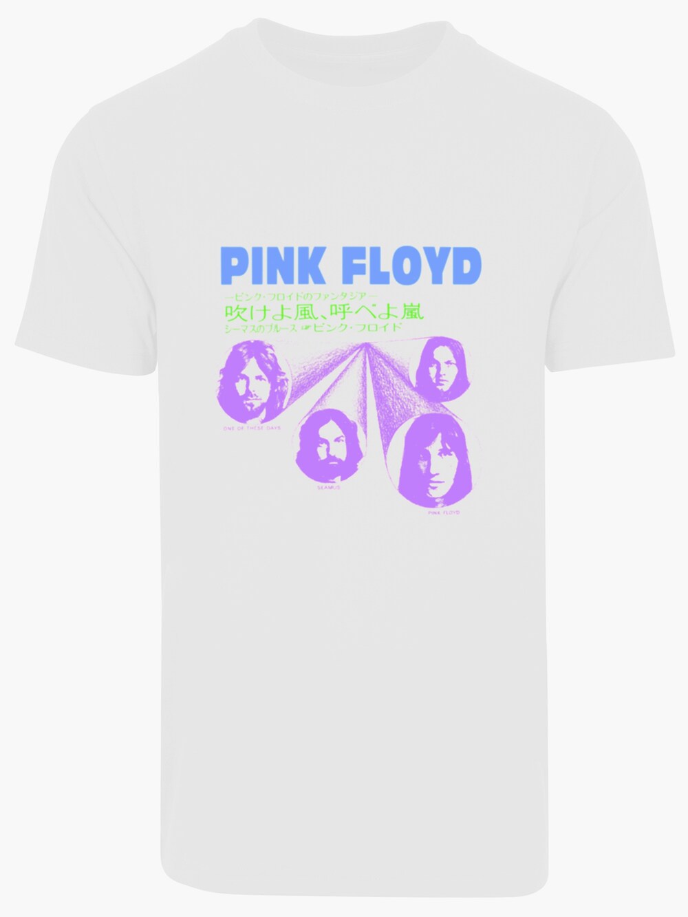 

Футболка F4Nt4Stic Pink Floyd, белый