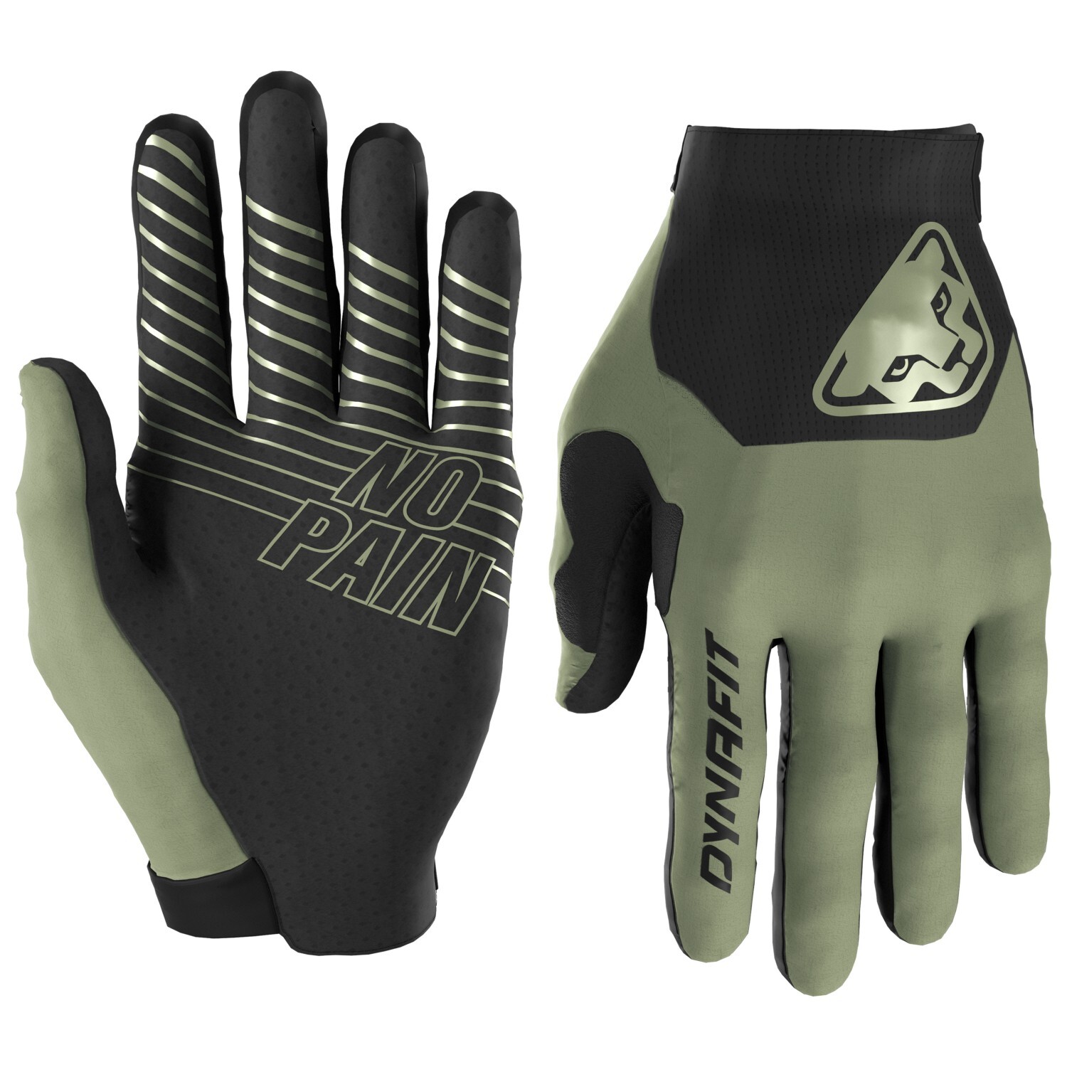 

Перчатки Dynafit Ride Gloves, цвет Sage/0910