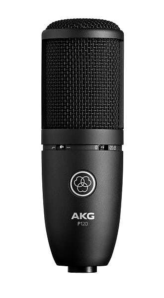 

Конденсаторный микрофон AKG P170 Small Diaphragm Cardioid Condenser Microphone