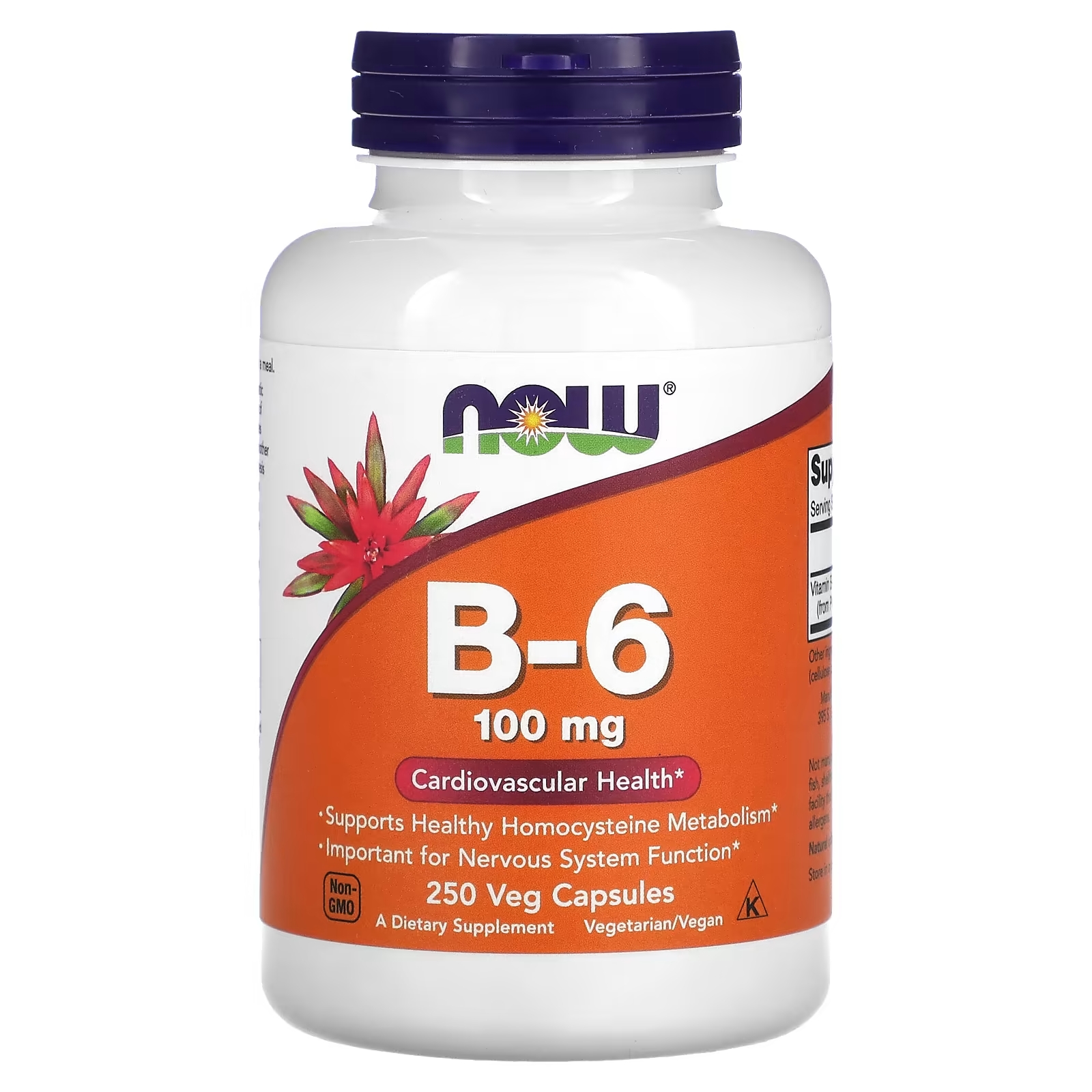 Витамин В6 NOW Foods, 250 капсул биологически активная добавка витамин b 100 now foods 250 капсул
