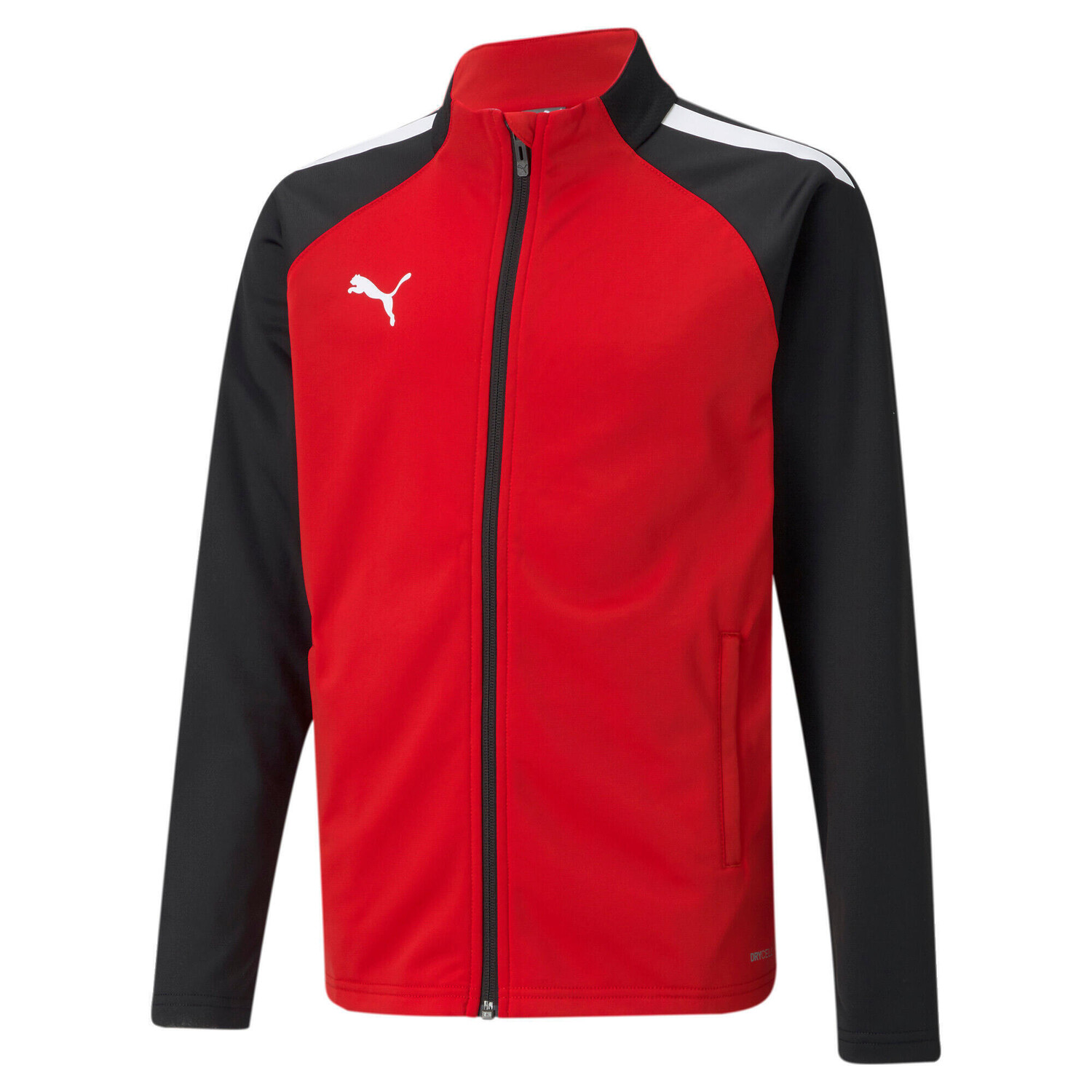 

Детская куртка Puma Team Liga All Weather, синий/синий электрик/синий электрик