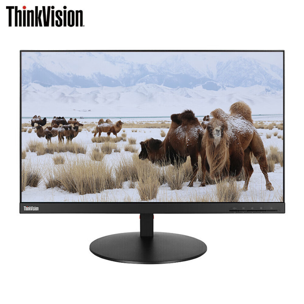 

Монитор Lenovo ThinkVision P24i 23,8" IPS
