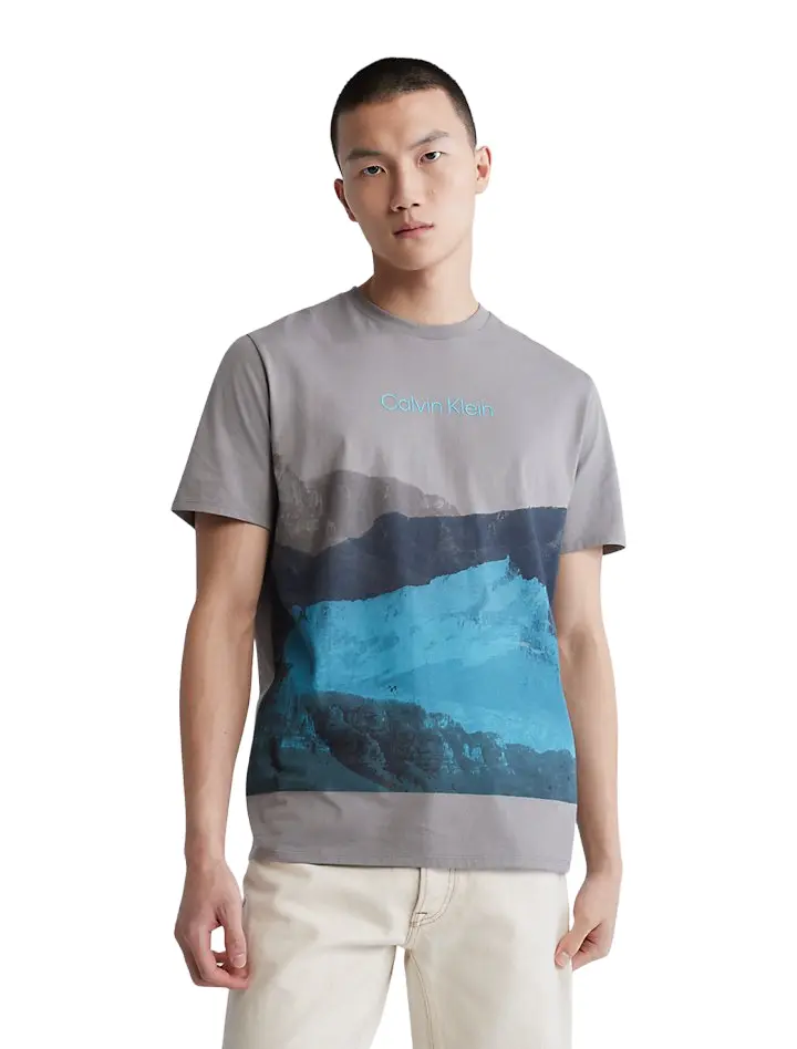 

Футболка Calvin Klein Mountain Sunset Graphic, серый