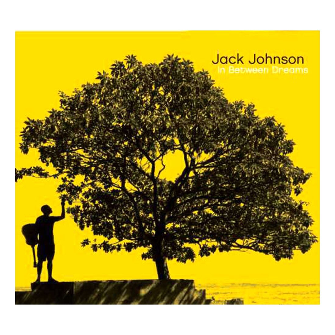 

Виниловая пластинка In Between Dreams | Jack Johnson