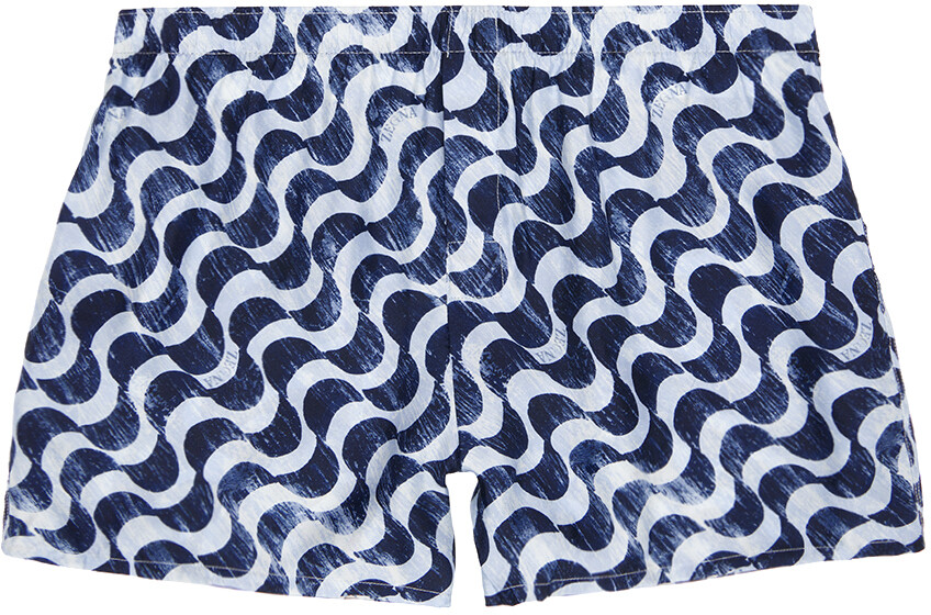 

Боксеры Blue Waves ZEGNA