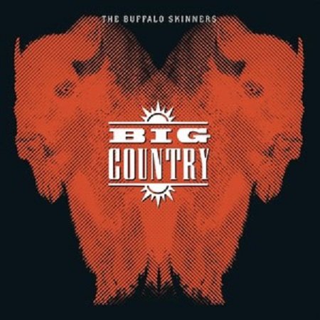 Виниловая пластинка Big Country - Buffalo Skinners