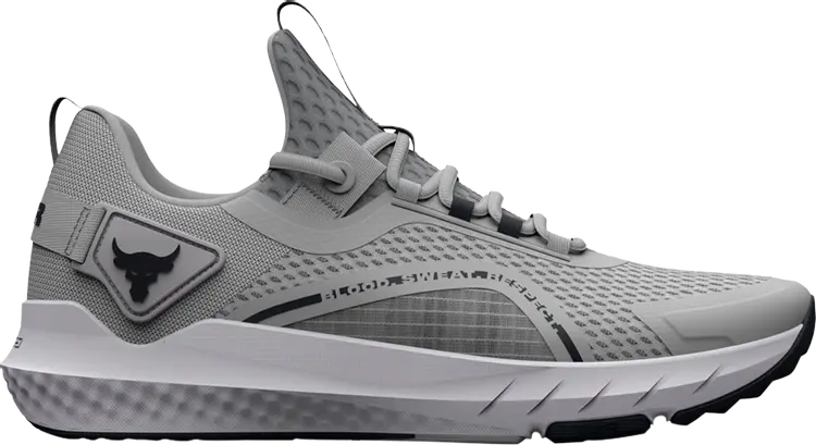 

Кроссовки Under Armour Project Rock BSR 3 Mod Grey, серый