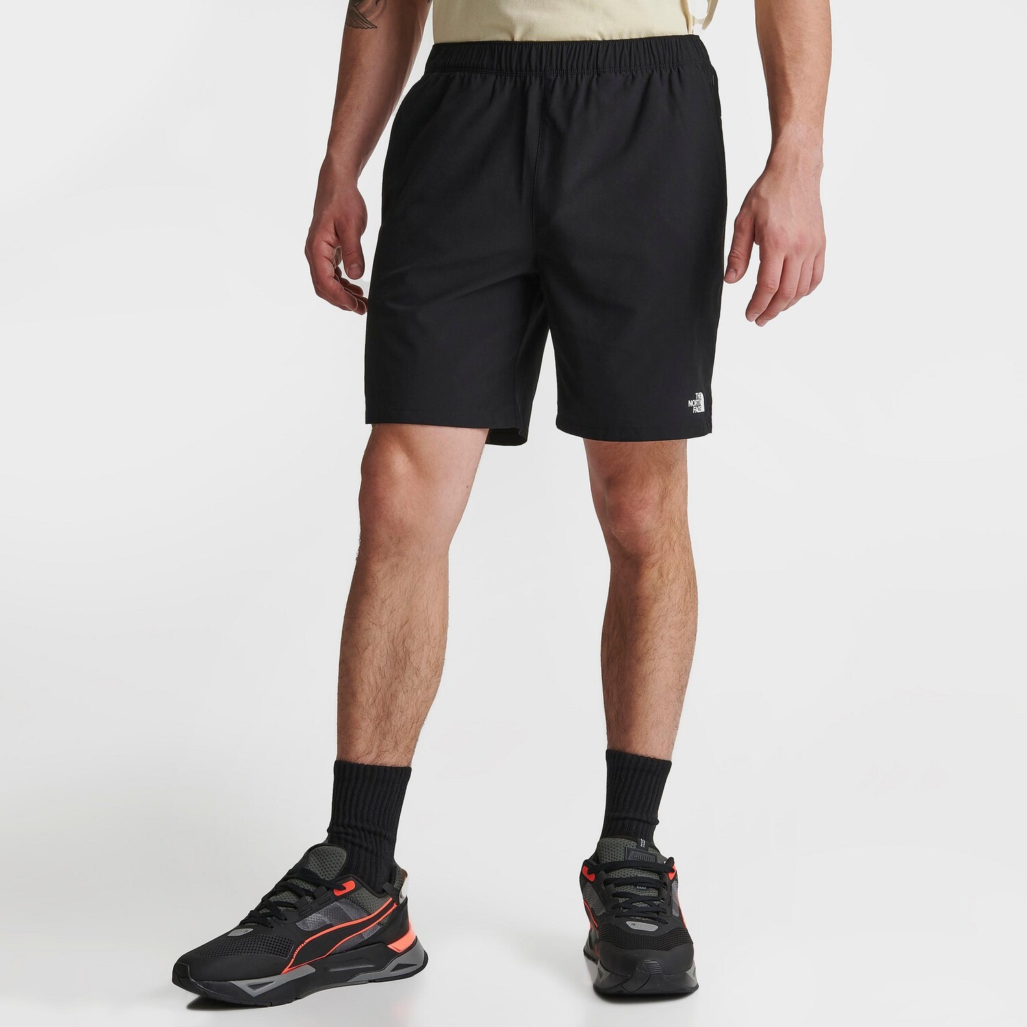 

Мужские шорты The North Face Wander, черный