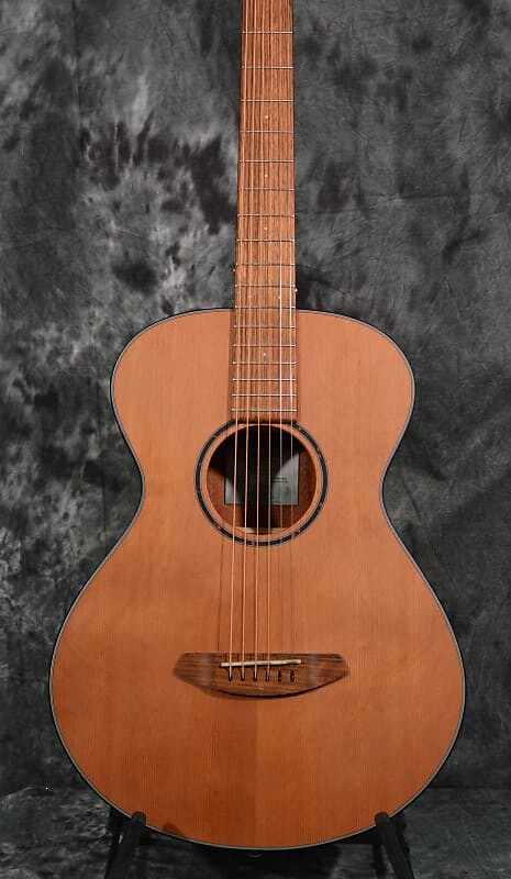 

Гитара Breedlove Discovery S Concertina Eco, коричневый
