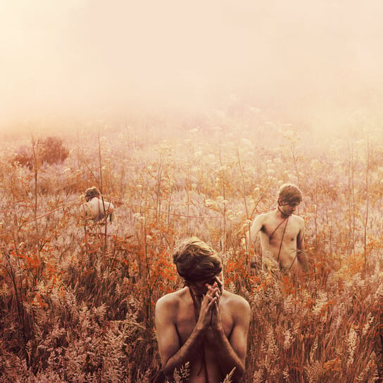 

Виниловая пластинка Plano Sebastian - Arrhytmical Part Of Hearts