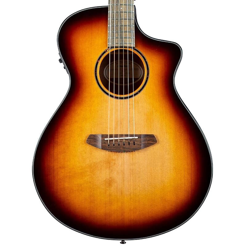 

Акустическая гитара Breedlove DISCOVERY S CONCERT EDGEBURST CE