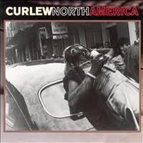 

CD диск Curlew: North America