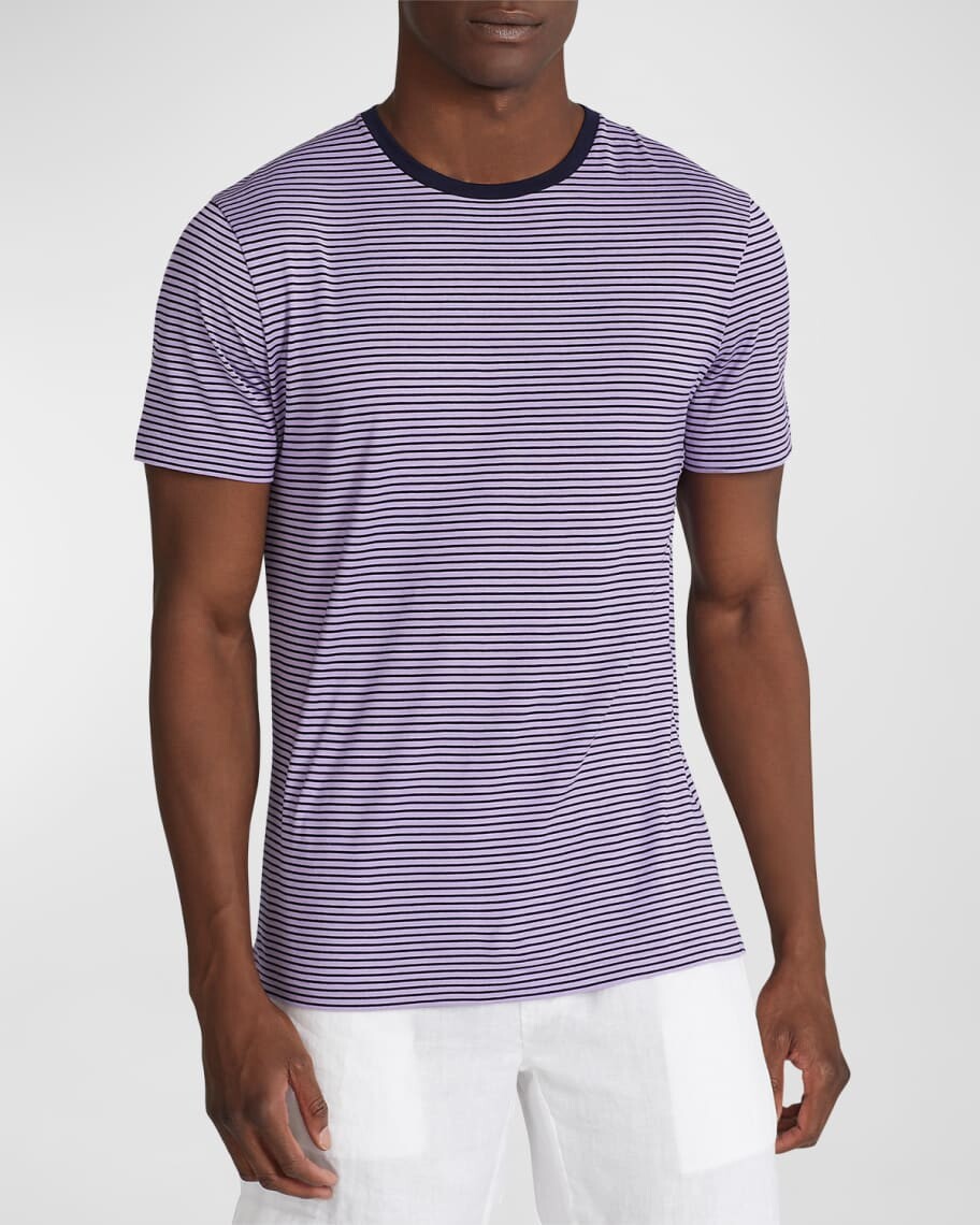 

Мужская полосатая футболка с круглым вырезом Ralph Lauren Purple Label, Серый