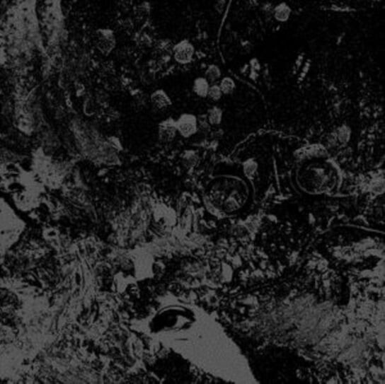 

Виниловая пластинка Primitive Man - Split