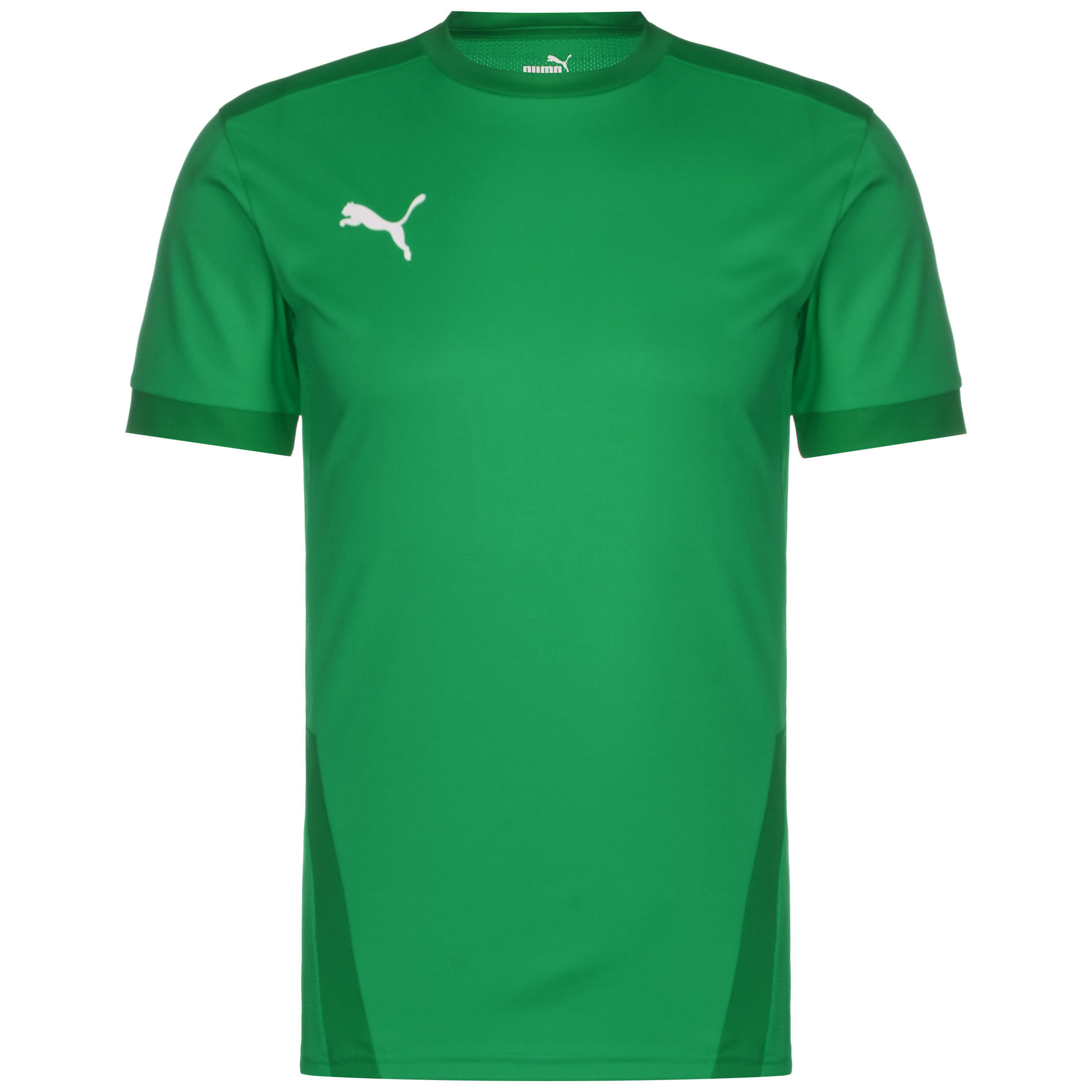 Рубашка Puma Fußballtrikot teamGoal 23, цвет dunkelgrün/grün