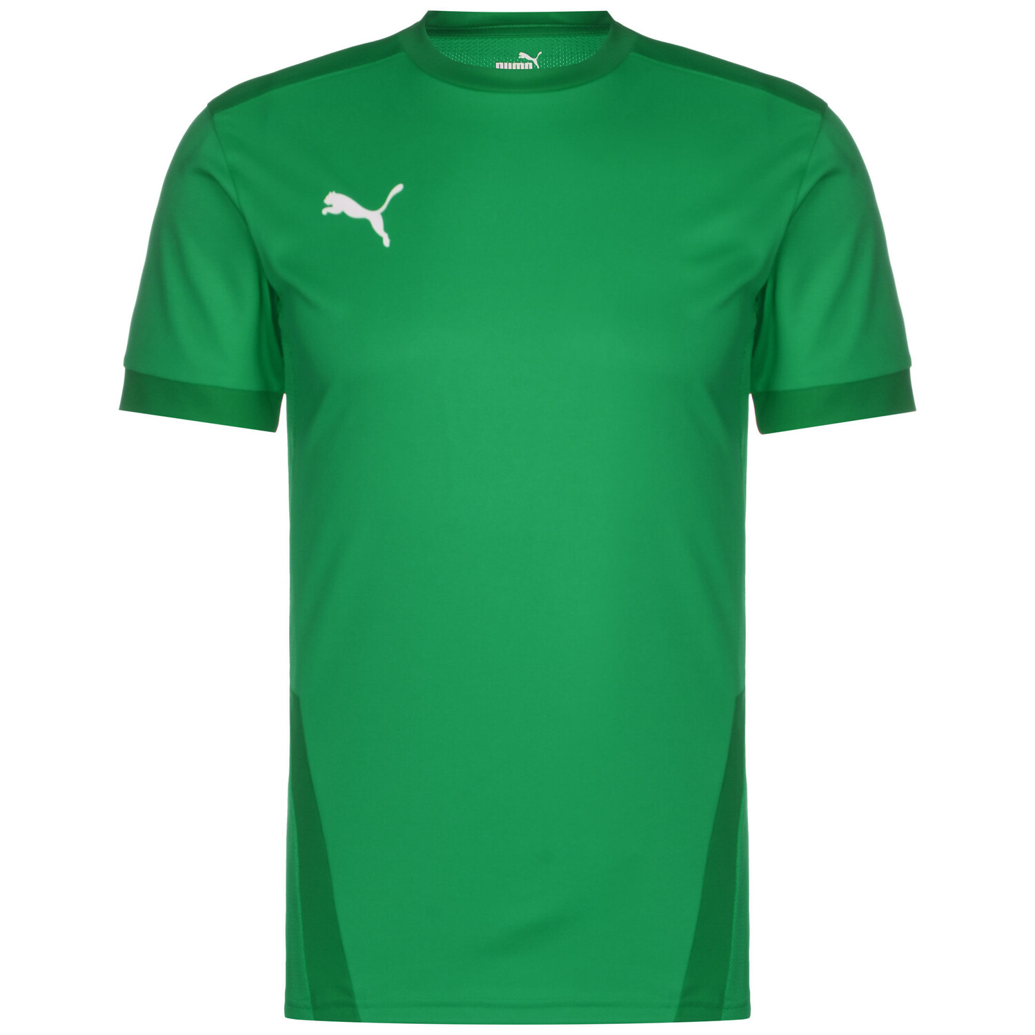 

Рубашка Puma Fußballtrikot teamGoal 23, цвет dunkelgrün/grün