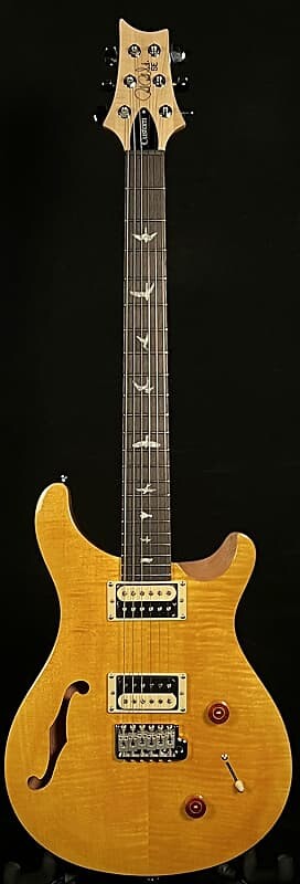 

Гитары PRS SE Custom 22 Semi-Hollow