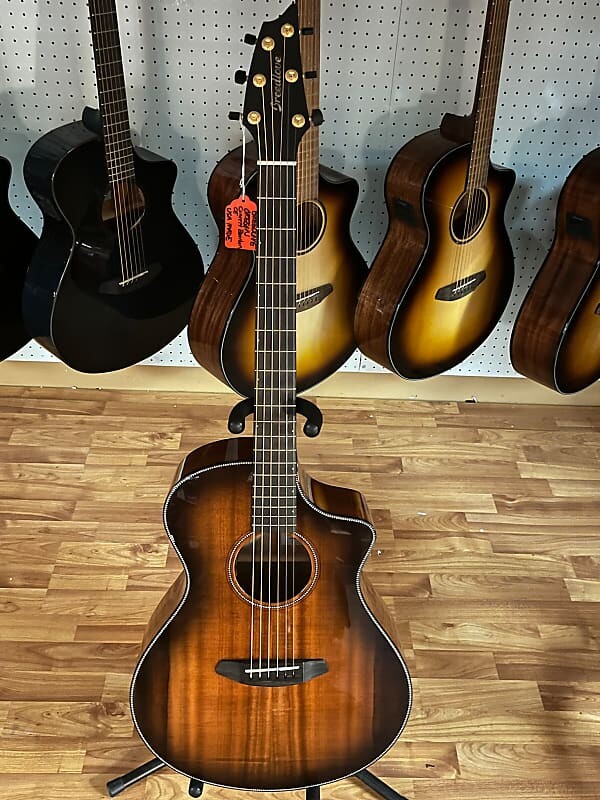 

Концерт Breedlove в Орегоне, CE Oregon Concert CE