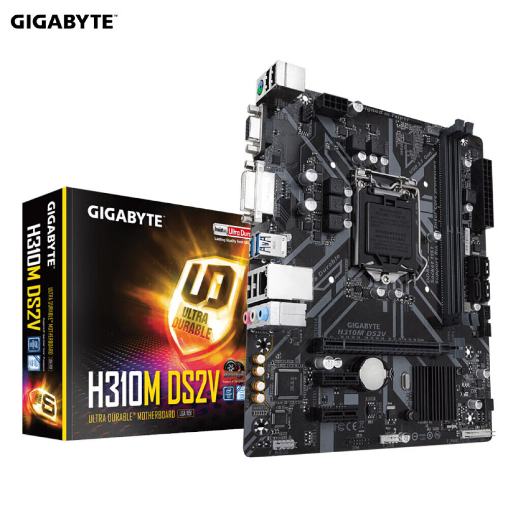 

Материнская плата Gigabyte H310M-DS2V