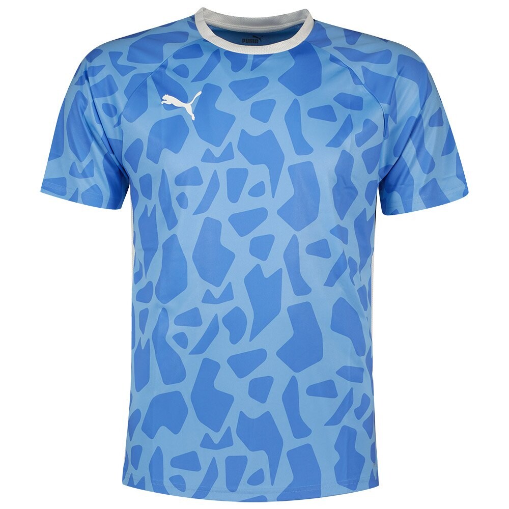 

Футболка Puma Teamliga Graphic, синий