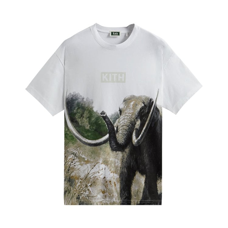 Футболка Kith For AMNH Late Mammals Vintage Tee 'White', белый - фото