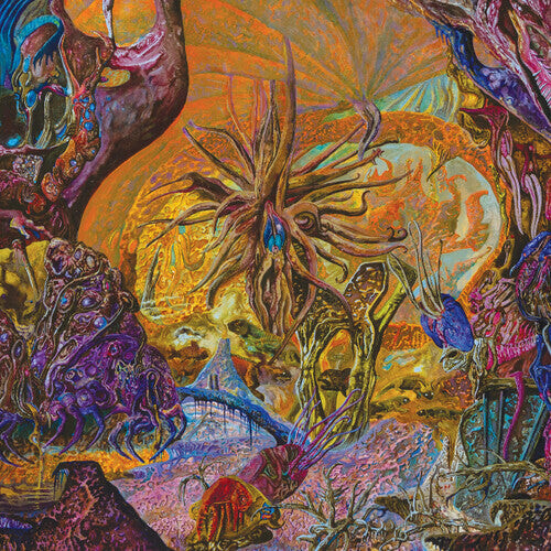 

Виниловая пластинка Slimelord: Chytridiomycosis Relinquished - Orange/royal Blue