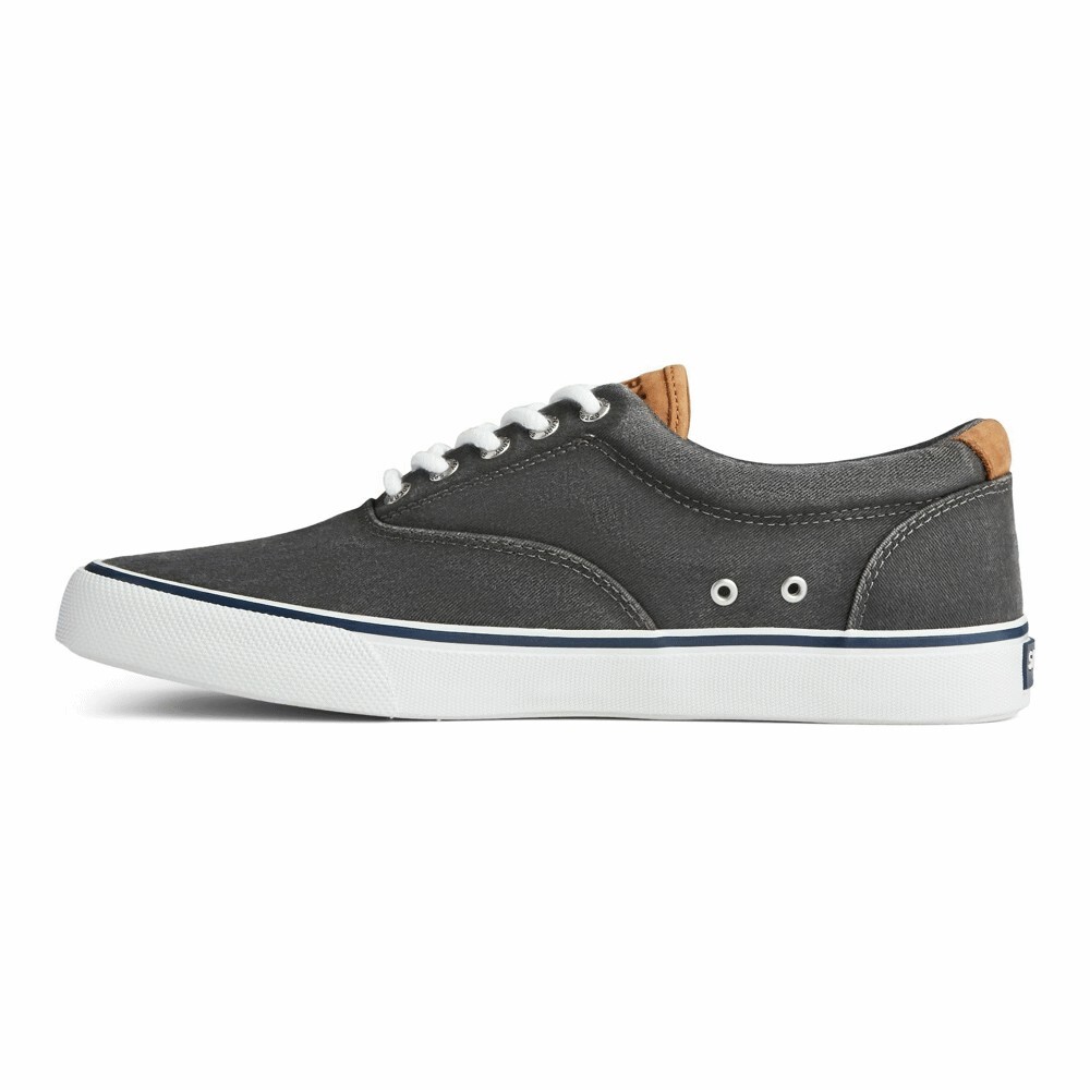 

Кроссовки Sperry Footwear Striper Ii Cvo, black