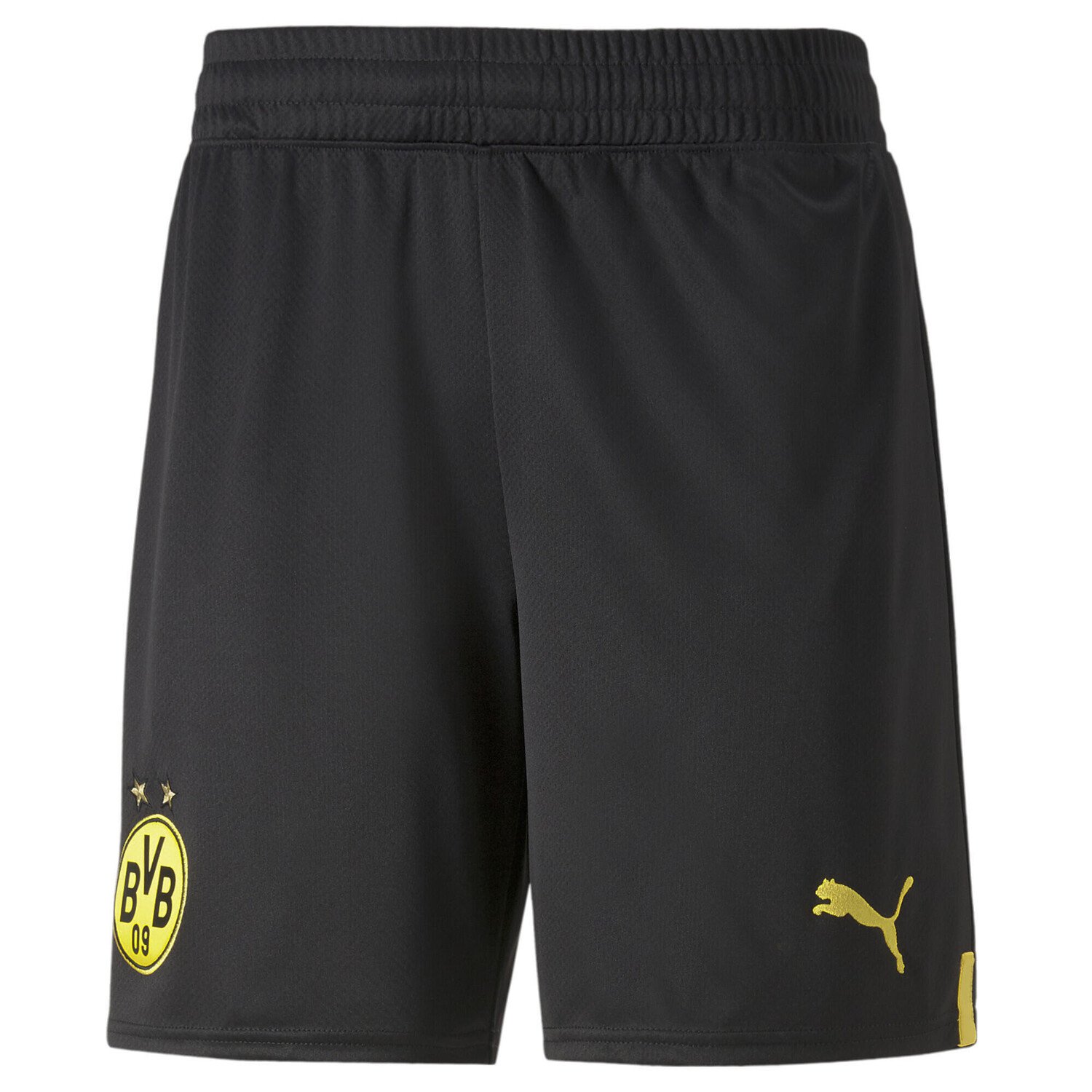 

Мужские шорты Borussia Dortmund 22/23 PUMA