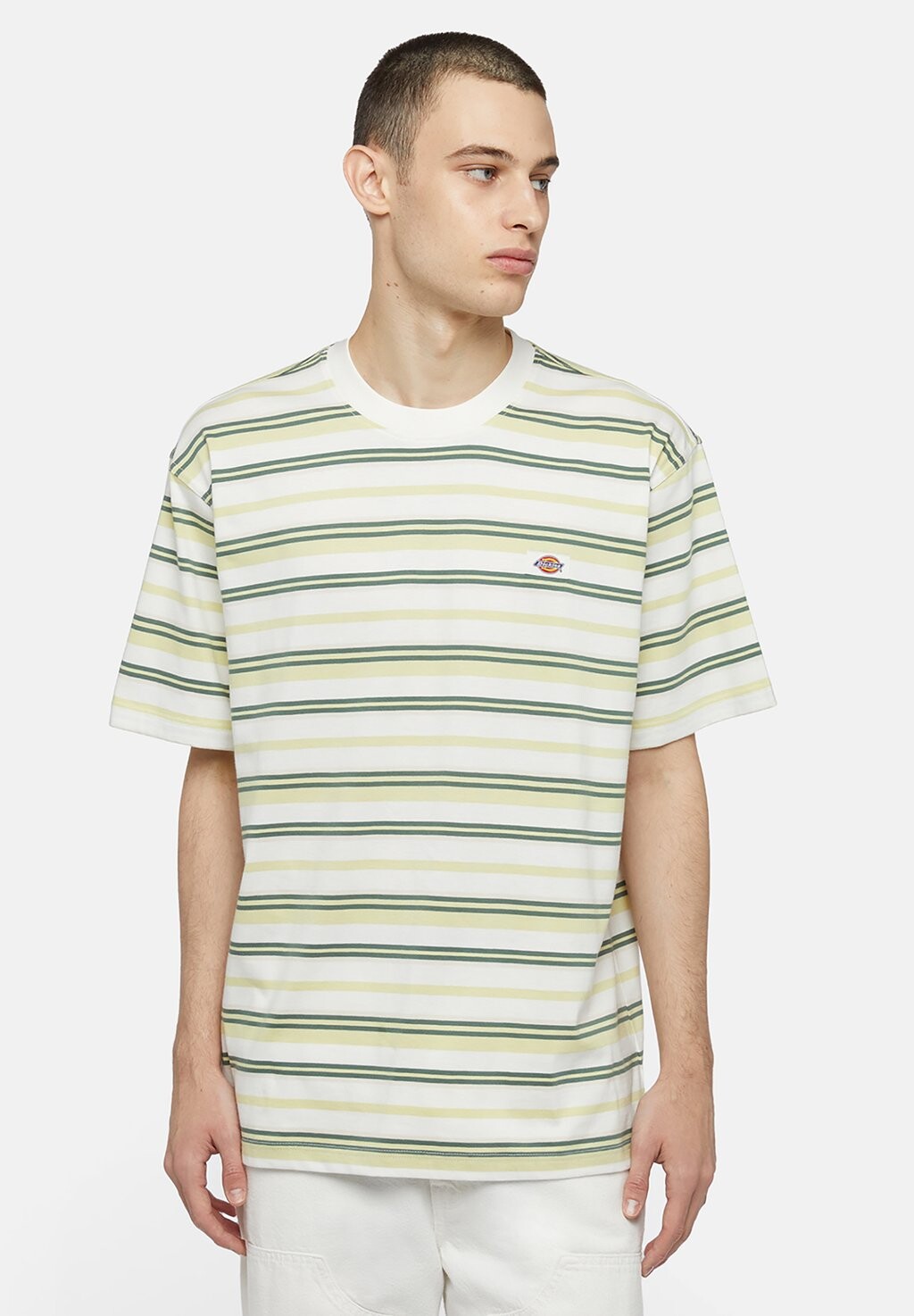 

Футболка с принтом Glade Spring Tee Dickies, цвет hrzntl strip cl
