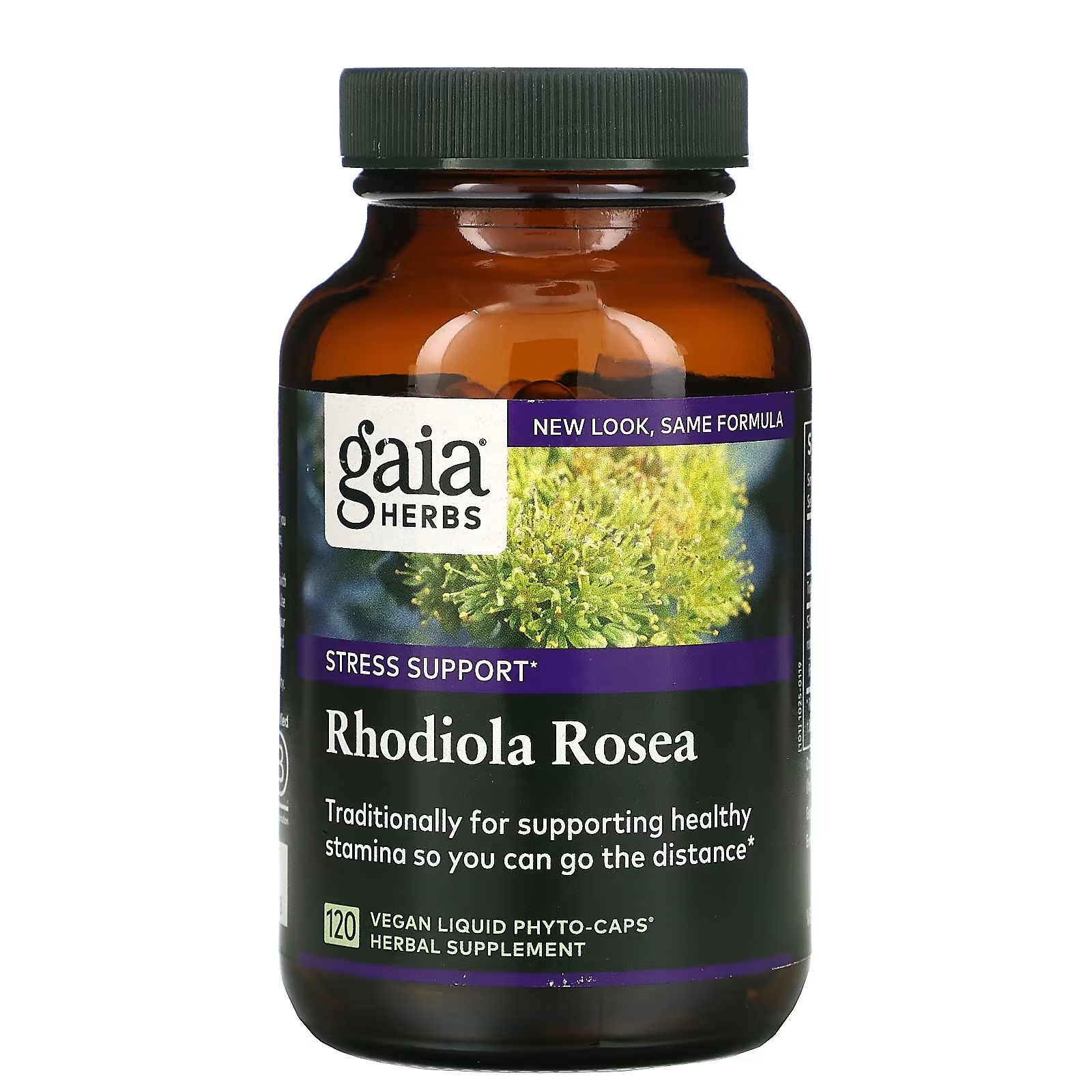Gaia Herbs родиола розовая, 120 веганских капсул gaia herbs смесь грибов для иммунитета 40 веганских капсул