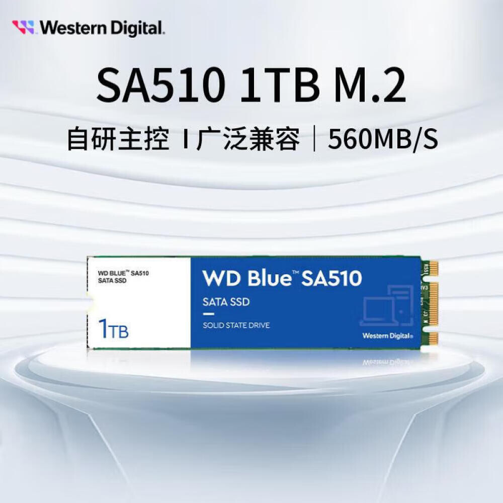 

SSD-накопитель Western Digital SA510 Blue 1ТБ