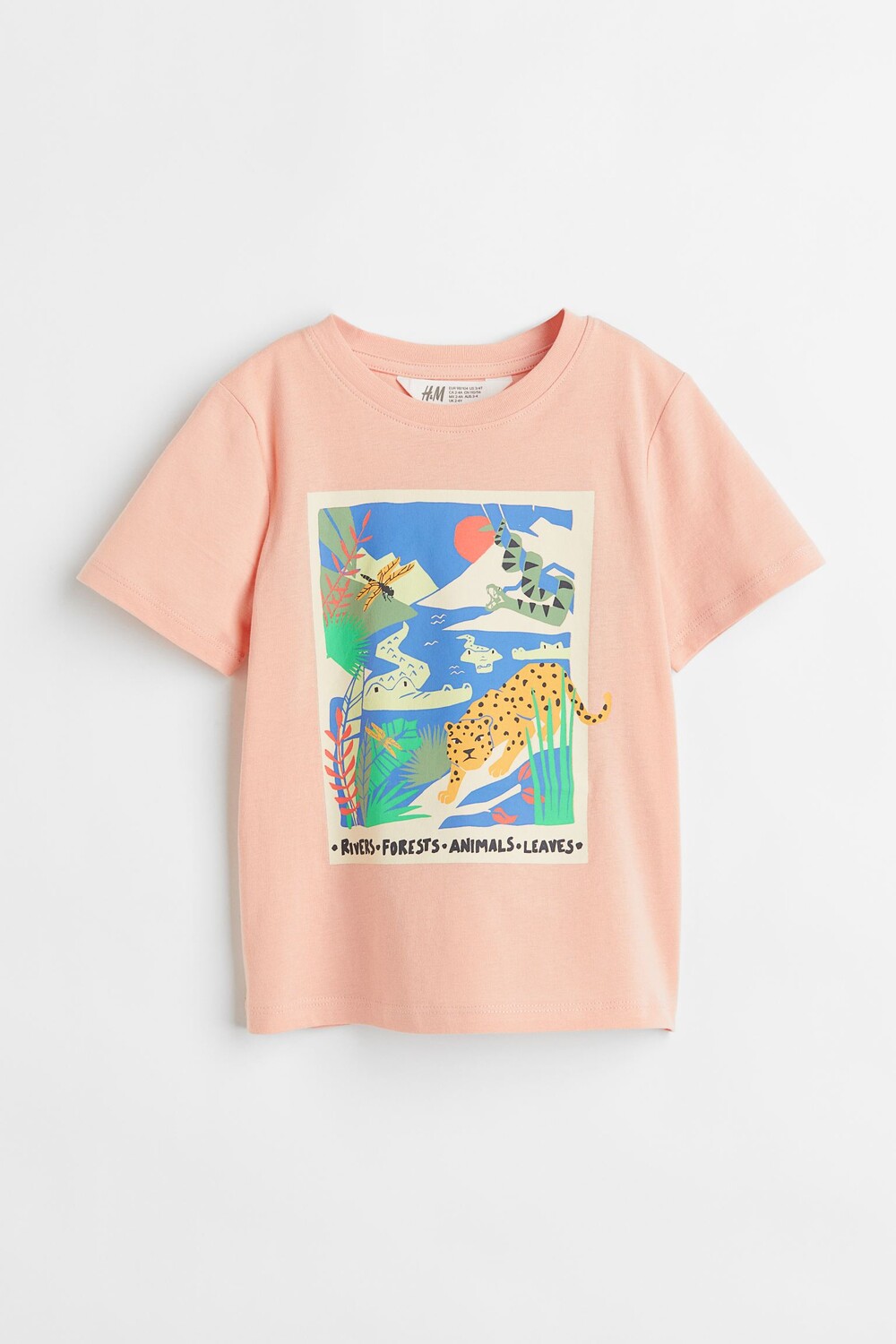 

Футболка с принтом H&M Apricot, светло-оранжевый