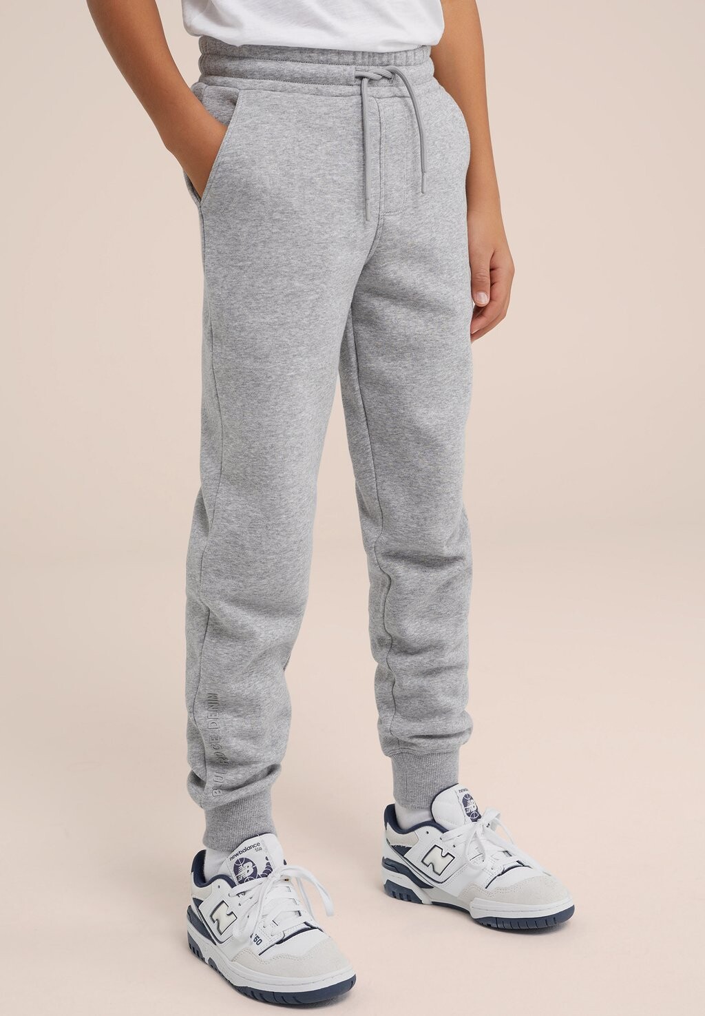 

Спортивные брюки WE Fashion, серый