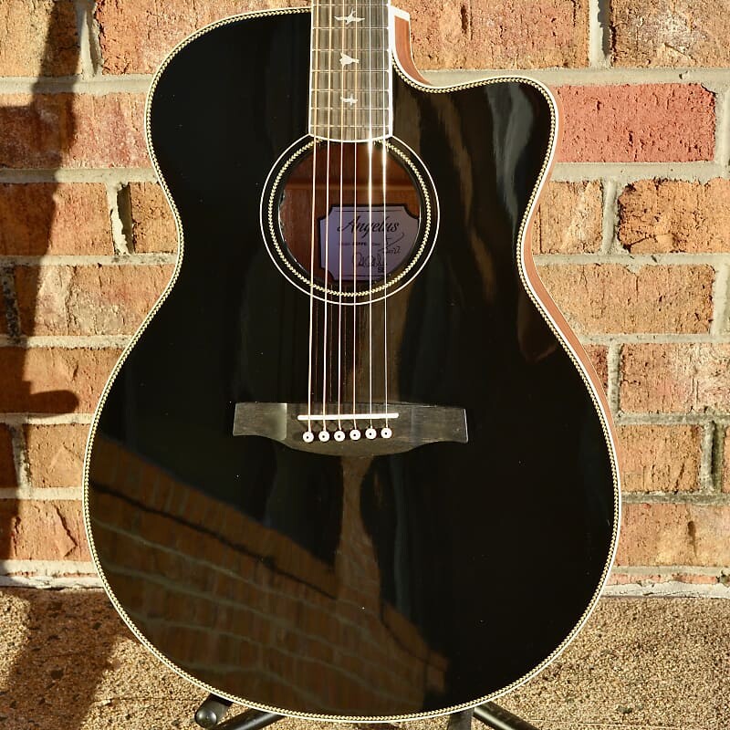 

ПРС SE A20E PRS