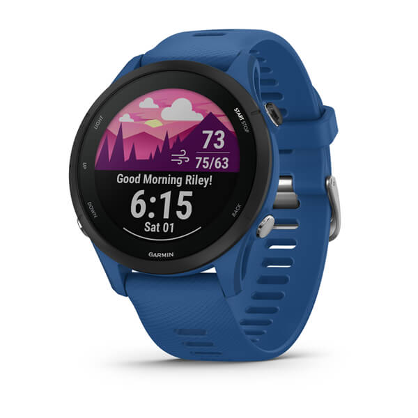 Умные часы Garmin Forerunner 255, Tidal Blue - фото