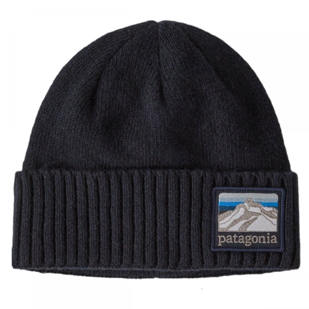 

Шапка Patagonia Brodeo, синий