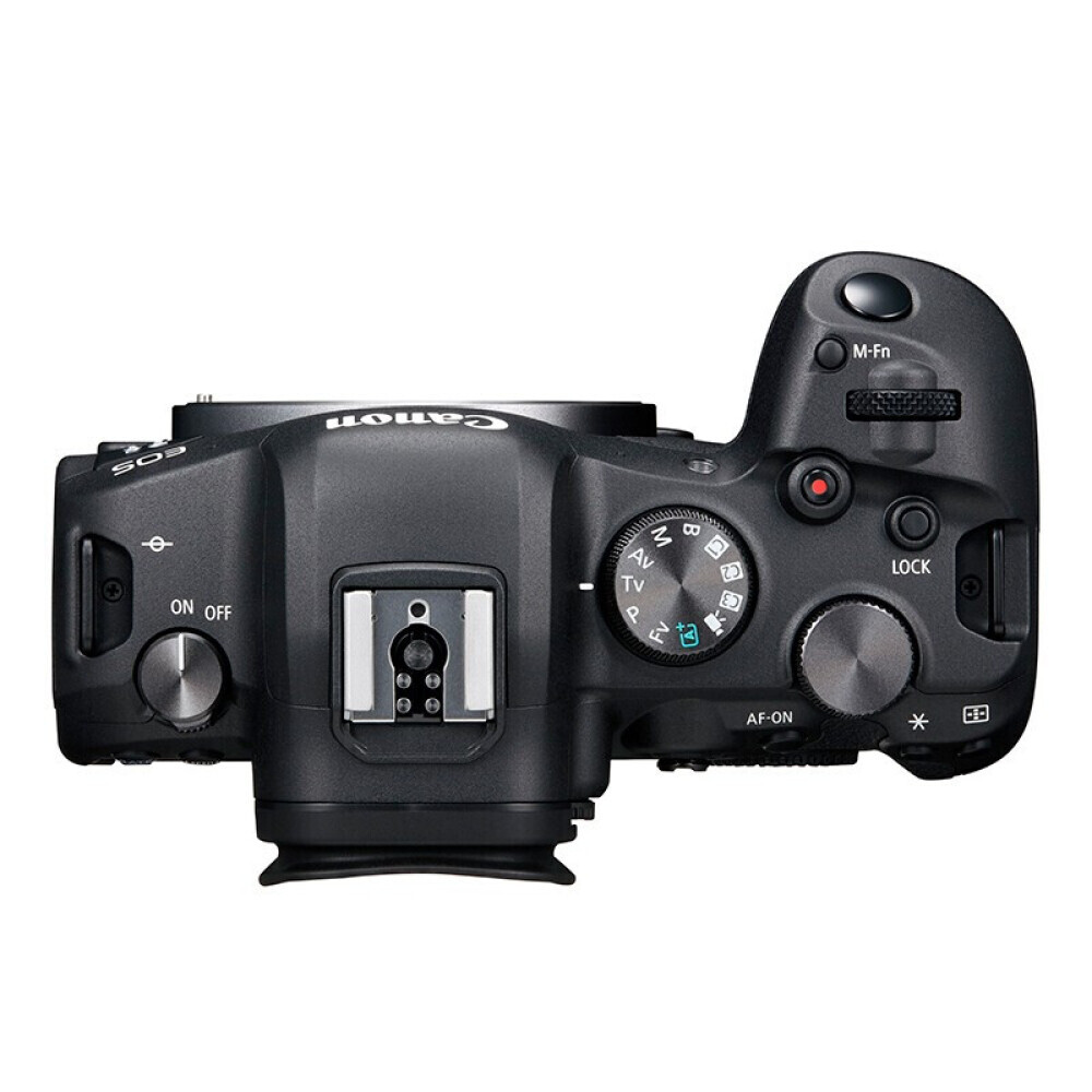 Canon eos r6 mark ii примеры фото