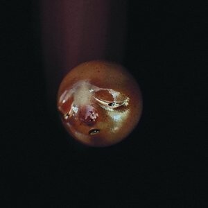 

Виниловая пластинка Poolblood - Mole