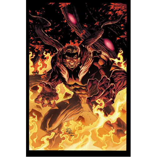

Книга Sabretooth: The Adversary
