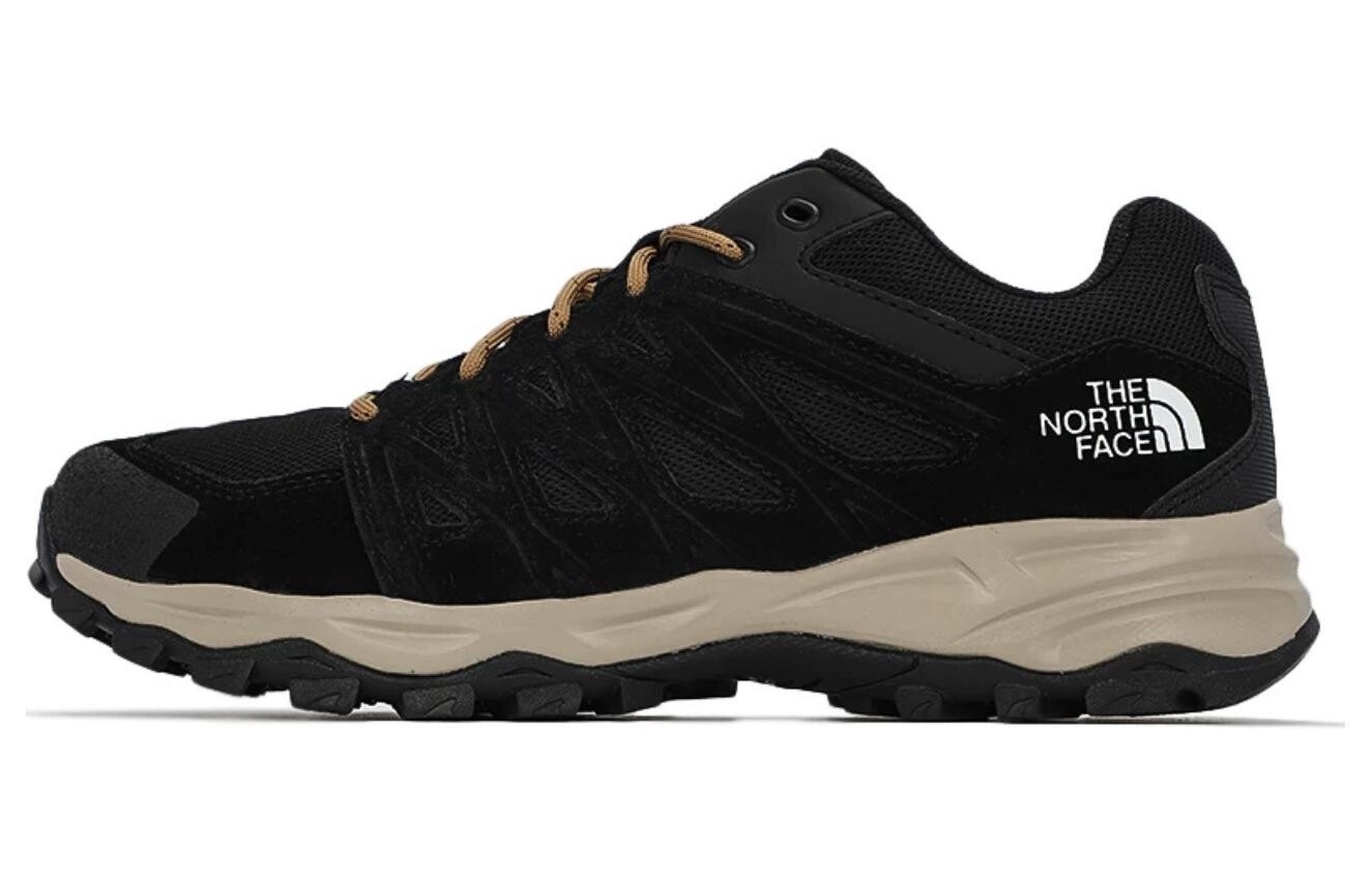 

Кроссовки для активного отдыха мужские с низким верхом черного цвета The North Face