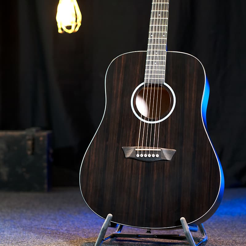 Акустическая гитара Washburn DFED Deep Forest Ebony Ace Stripe Wood Top Mahogany Neck 6-String Acoustic Guitar фото