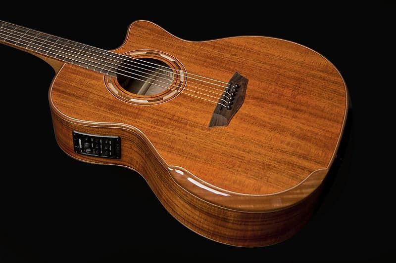 Акустическая гитара Washburn WCG55CE Comfort Series Grand Auditorium Koa Acoustic-Electric Guitar