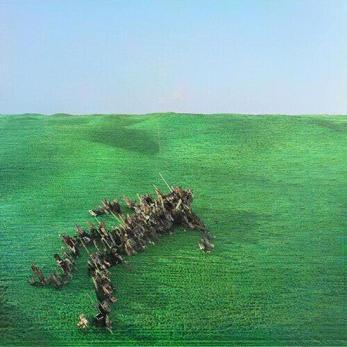 

Виниловая пластинка Squid: Bright Green Field
