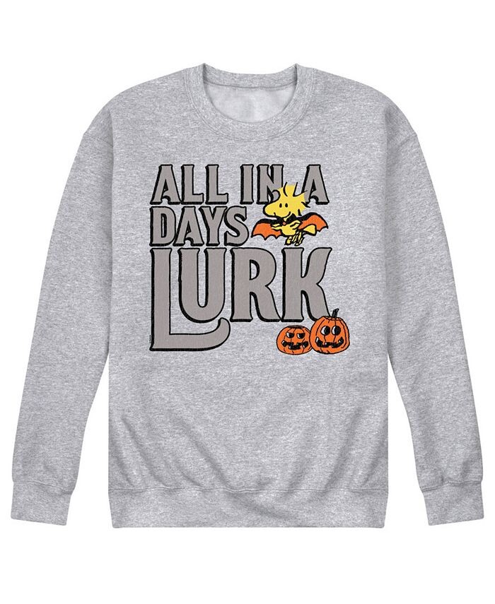 

Мужская флисовая футболка Peanuts Days Lurk AIRWAVES, серый