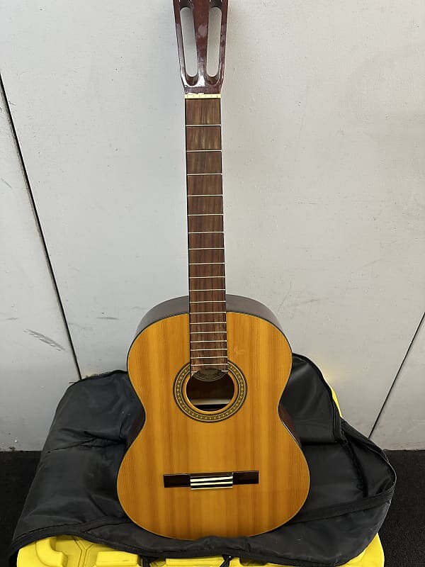 

Акустическая гитара Washburn C40 Classical Series Acoustic Guitar - Natural-Hand Crafted
