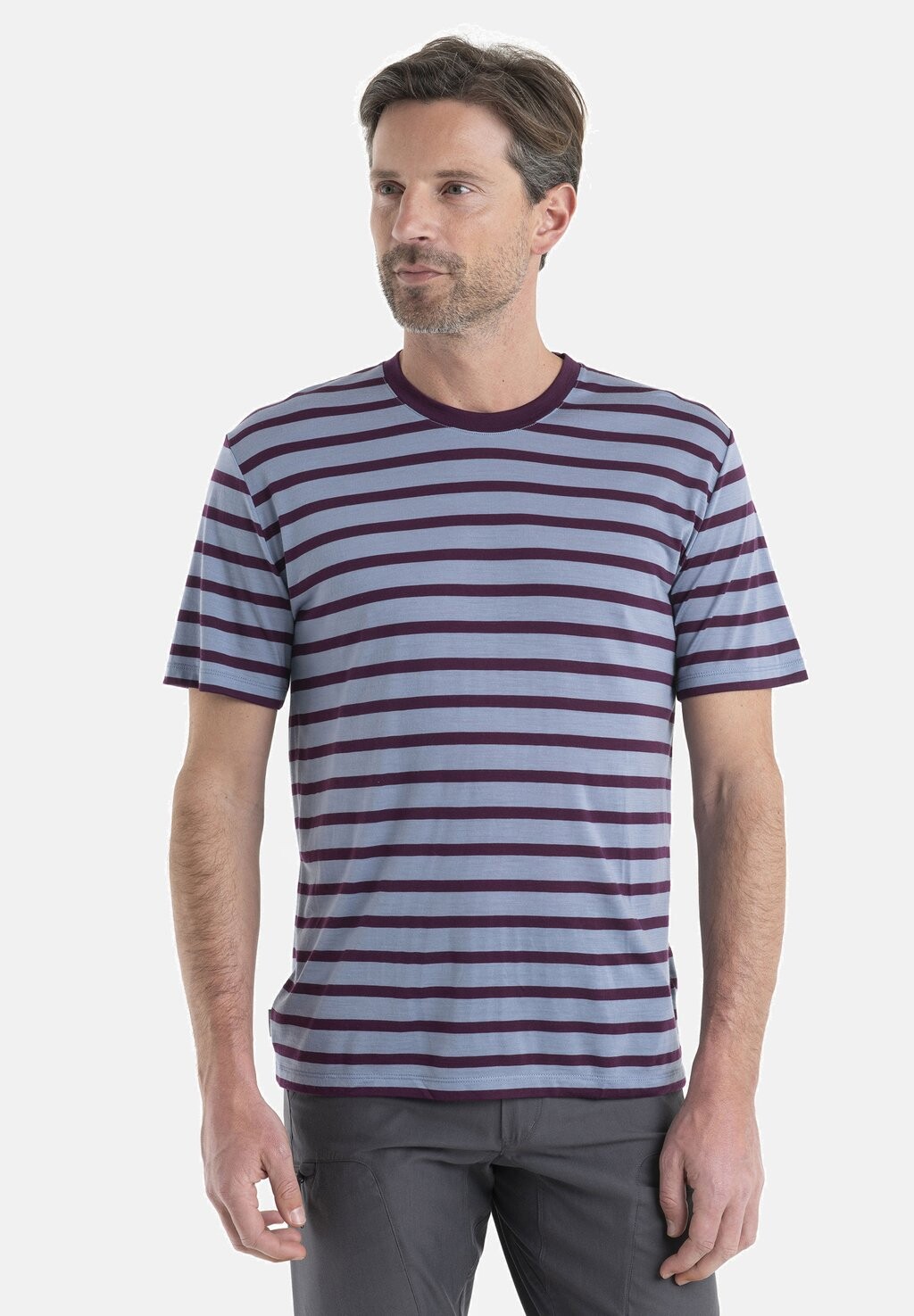 

Футболка с принтом Merino Drayden Stripe Print T-Shirt Midnight Navy Grtstnhth S Icebreaker, цвет kyanite nightshade s