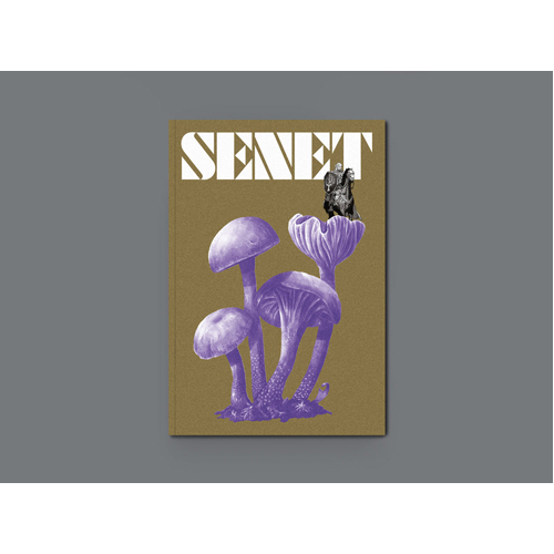 Книга Senet Magazine Issue 12