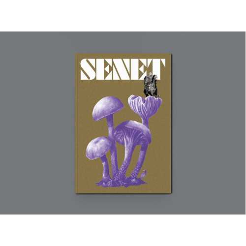 Книга Senet Magazine Issue 12