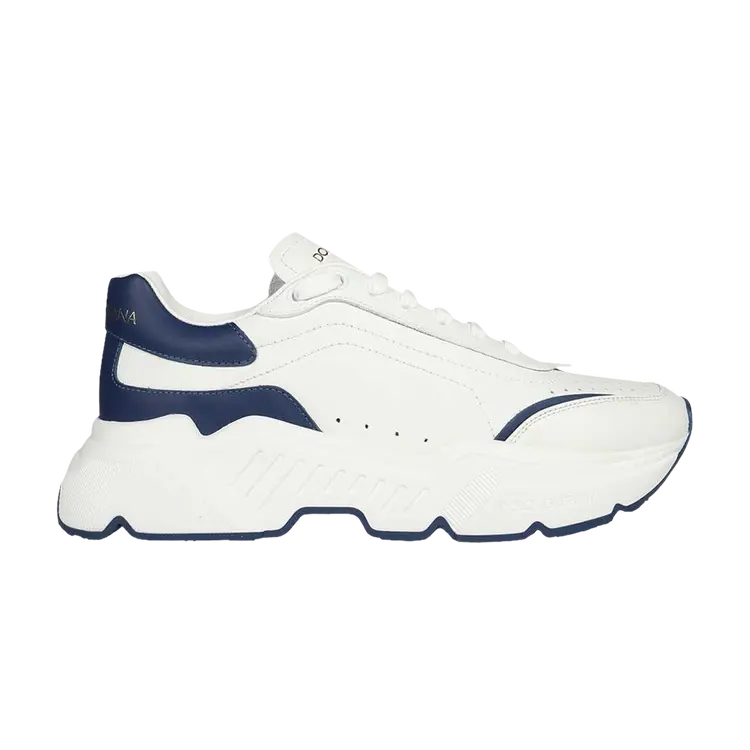 

Кроссовки Dolce & Gabbana Daymaster Low 'White Blue', белый