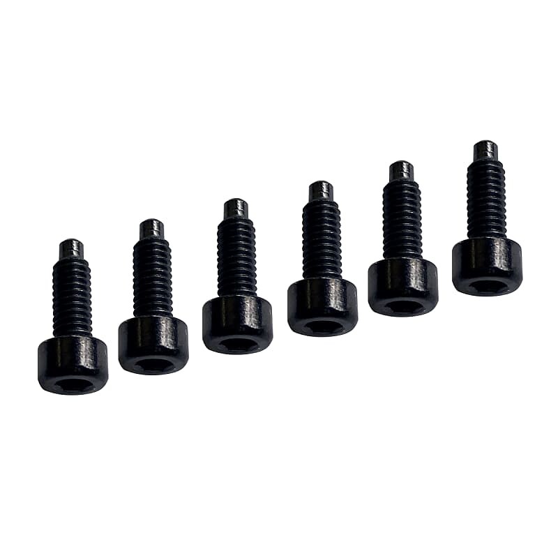

Аутентичные винты Floyd Rose 1000 Series Pro String Lock (6) — черные 1000 Series Pro String Lock Screws (6)